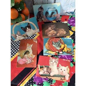 Mid Century Kittens Cats Postcard Bundle Unposted 1960’s 🐈🐈‍⬛
